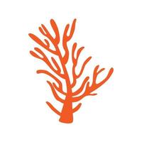 corail icône vecteur. algue illustration signe. sous-marin monde symbole ou logo. vecteur