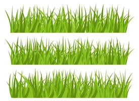 vert herbe vecteur conception illustration isolé sur blanc Contexte