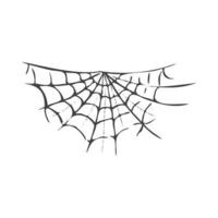 Halloween décor, araignée araignée, main tiré vecteur illustration isolé sur blanc Contexte. ancien, griffonnage esquisser.