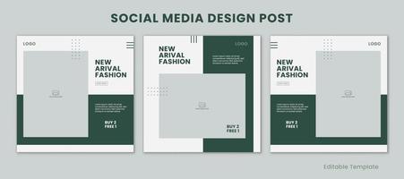 ensemble de 3 modifiable modèles social médias conception Publier avec minimaliste et moderne style vert Couleur thème. adapté pour vente bannière, l'image de marque, promotion, présentation, publicité, mode vecteur