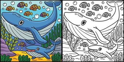 coloriage de baleine illustration colorée vecteur