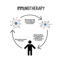 immunothérapie le utilisation de drogues ou autre à stimuler le du corps immunitaire vecteur