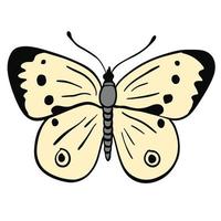 magnifique crème ailes papillon de nuit ,bien pour graphique conception ressources. vecteur