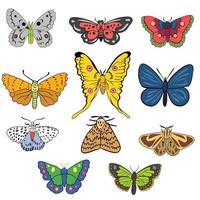 ensembles de magnifique jardin papillon et papillon de nuit ,bien pour graphique conception ressources. vecteur