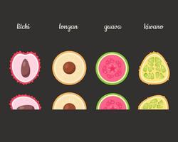 fruits exotiques litchi, longane, goyave, kiwano. illustration vectorielle vecteur