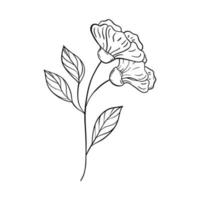 silhouettes noires d'herbe, de fleurs et d'herbes isolés sur fond blanc. fleurs et insectes de croquis dessinés à la main. vecteur