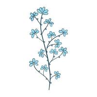 sauvage fleur. floral à base de plantes les plantes avec bleu fleurs. délicat champ et Prairie fleurs sauvages et herbes. botanique plat vecteur illustration de délicat été flore isolé sur blanc Contexte
