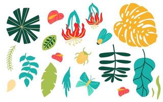 jungle feuilles ensemble. tropical feuilles fleurs isolé éléments, insectes, papillon été tropique collection. jungle tropical les plantes agrafe art. marrant vecteur illustration, main tiré jungle laisser collection.