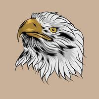 vecteur Aigle tête illustration adapté pour l'image de marque Besoins et donc sur