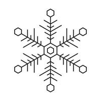hiver flocon de neige icône. Noël vecteur neige la glace symétrique conception.