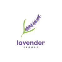 lavande logo, Facile élégant violet fleur plante vecteur, salutation carte conception, bannière, fleur ornement, lavande main tiré mariage, icône symbole illustration vecteur