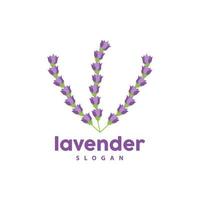 lavande logo, Facile élégant violet fleur plante vecteur, salutation carte conception, bannière, fleur ornement, lavande main tiré mariage, icône symbole illustration vecteur