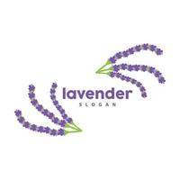 lavande logo, Facile élégant violet fleur plante vecteur, salutation carte conception, bannière, fleur ornement, lavande main tiré mariage, icône symbole illustration vecteur