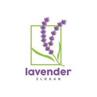 lavande logo, Facile élégant violet fleur plante vecteur, salutation carte conception, bannière, fleur ornement, lavande main tiré mariage, icône symbole illustration vecteur