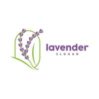 lavande logo, Facile élégant violet fleur plante vecteur, salutation carte conception, bannière, fleur ornement, lavande main tiré mariage, icône symbole illustration vecteur