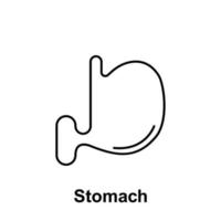 estomac, organe vecteur icône illustration