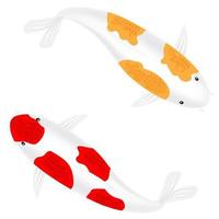 poisson koi japonais rouge et jaune ou poisson carpe fantaisie