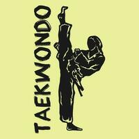 illustration de taekwondo combattant logo icône vecteur