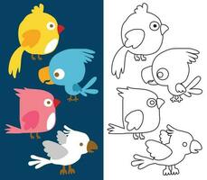 vecteur dessin animé de marrant des oiseaux, coloration livre ou page pour des gamins