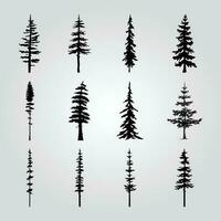 une collection de pin des arbres avec différent formes et tailles. vecteur