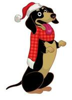 permanent teckel chien portant Noël accessoires vecteur