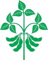 illustration vectorielle de soja plante vecteur