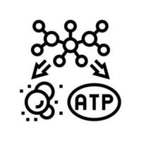catabolisme biochimie ligne icône vecteur illustration