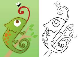 vecteur dessin animé de caméléon sur arbre branches avec une voler, coloration livre ou page