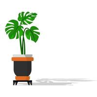 monstera deliciosa plante isolé sur blanc arrière-plan, monstera vecteur illustration.