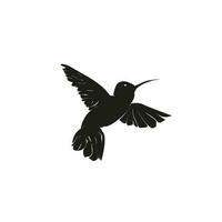 bourdonnement oiseau silhouette vecteur icône illustration
