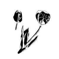 noir et blanc stylisé tulipe fleur badge. vecteur illustration.