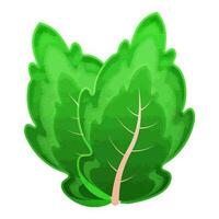 plat illustration de menthe feuilles élément. vecteur