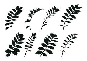 réel moderne silhouettes végétaux, herbes. dessin zamioculcas. plat conception art conception modèle. vecteur