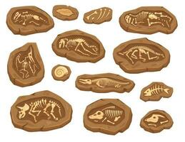 dessin animé dinosaures fossiles, ancien tricératops dinosaure squelette. ammonite et feuille fossile, paléontologique les fouilles éléments vecteur ensemble