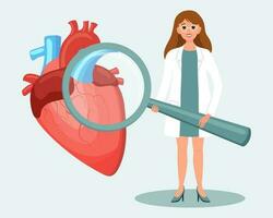 femelle médecin avec une grossissant verre et Humain cœur. médical diagnostic de Humain cardio système, soins de santé concept. illustration, vecteur