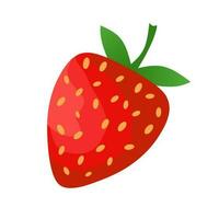 Frais fraise fruit illustration sur blanc Contexte vecteur