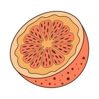 une demi-orange. illustration dessinée à la main de fruits juteux dans un style doodle. vecteur