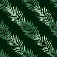abstrait exotique plante sans couture modèle. tropical paume feuilles modèle. fougère feuille fond d'écran. botanique texture. floral Contexte. vecteur