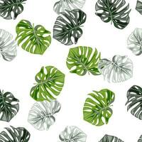 monstera feuilles sans couture modèle. exotique jungle les plantes interminable fond d'écran. feuille Contexte. hawaïen forêt tropicale floral toile de fond. vecteur