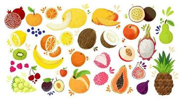 ensemble de coloré main dessiner des fruits, vecteur coloré esquisser isolé illustration. juteux fruit et baies collection