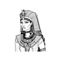 expérience le Puissance de le pharaons avec notre étourdissant Cléopâtre plus haut corps illustration. cette royal ouvrages d'art est en forme pour une reine vecteur