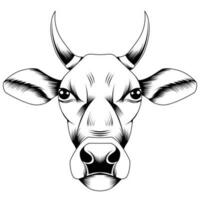 illustration vectorielle tête de vache vecteur