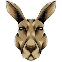 illustration vectorielle de kangourou vecteur