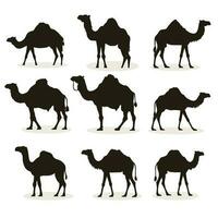 ensemble chameau silhouette vecteur illustration