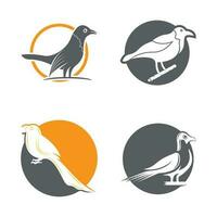 conception et symbole élégants d'icône de logo d'oiseau vecteur