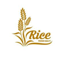 riz icône avec céréale plante et céréales, ferme nourriture vecteur