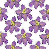 modèle iris violet et Jaune fleurs, blanc Contexte. vecteur