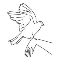 oiseau perché sur main dans esquisser style. isolé sur blanc Contexte. main tiré vecteur illustration.