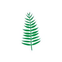 vert feuille vecteur icône. botanique illustration signe . écologie symbole. éco signe.