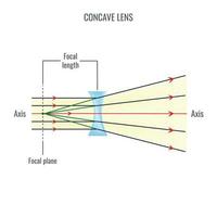 convexe et concave lentille vecteur illustration diagrammes